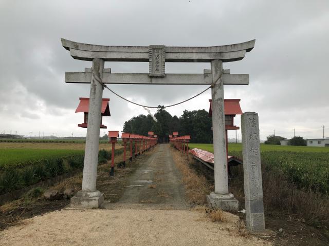 篠塚稲荷神社の参拝記録10