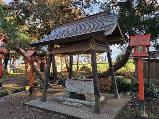 篠塚稲荷神社の参拝記録(飛成さん)
