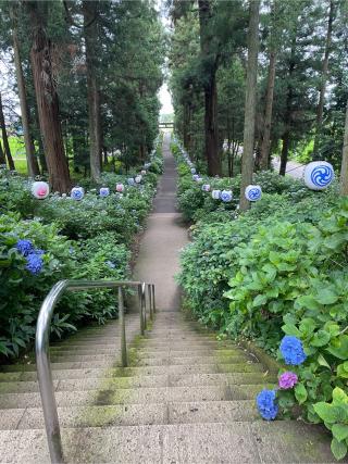 磯山神社の参拝記録(モーゼさん)