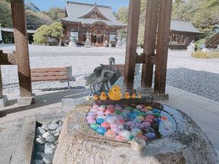 白鷺神社の参拝記録(さとみさん)