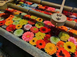 唐澤山神社の参拝記録(優雅さん)