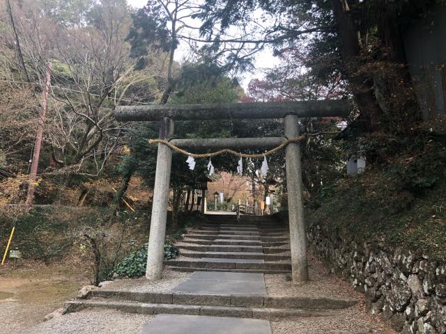 栃木県佐野市富士町1409 唐澤山神社の写真5