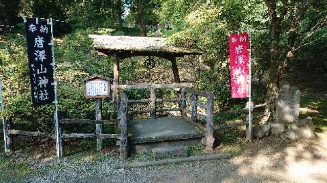 栃木県佐野市富士町1409 唐澤山神社の写真9