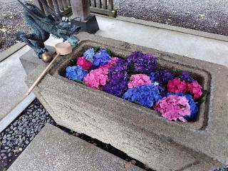 星宮神社の参拝記録(優雅さん)