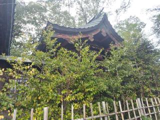 星宮神社の参拝記録(優雅さん)