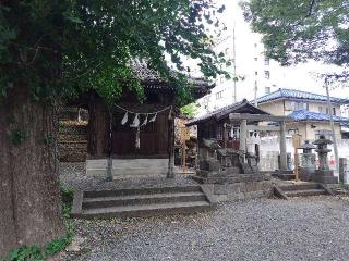 星宮神社の参拝記録(優雅さん)