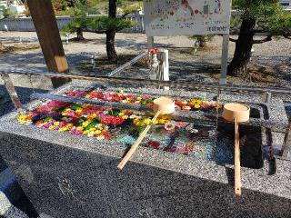 嘉多山浅間神社の参拝記録(タクさん)