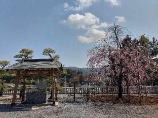 嘉多山浅間神社の参拝記録(タクさん)