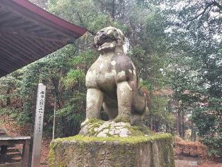 小藤神社の参拝記録(さとみさん)