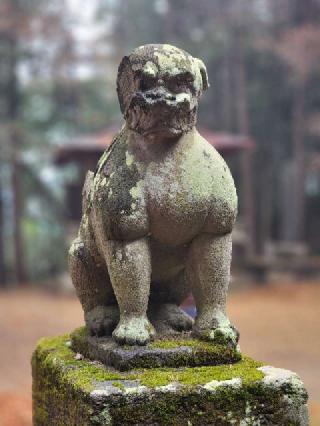 小藤神社の参拝記録(たけちゃ～ん⚾さん)