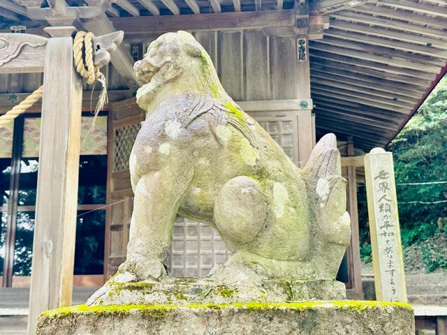 小藤神社の参拝記録6