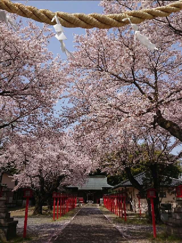 栃木県佐野市金井上町2233 佐野厄除大師の写真4