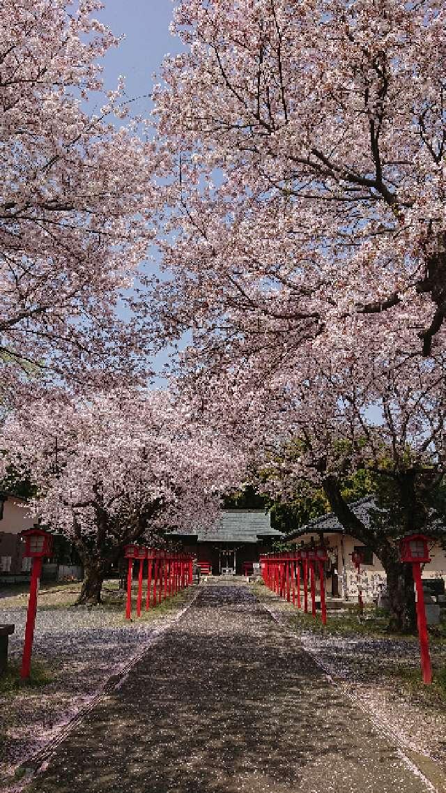 佐野厄除大師の参拝記録9