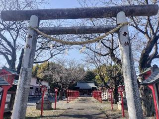金井神社の参拝記録(さとみさん)