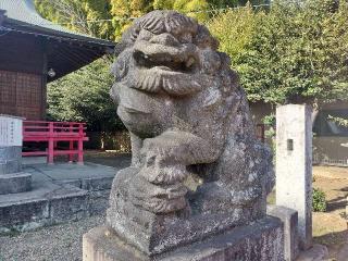 金井神社の参拝記録(さとみさん)