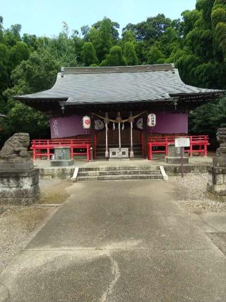 佐野厄除大師の参拝記録(zx14rさん)