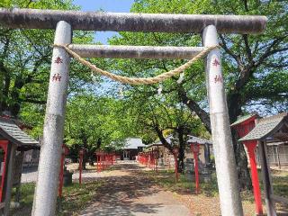 佐野厄除大師の参拝記録(まっきーさん)