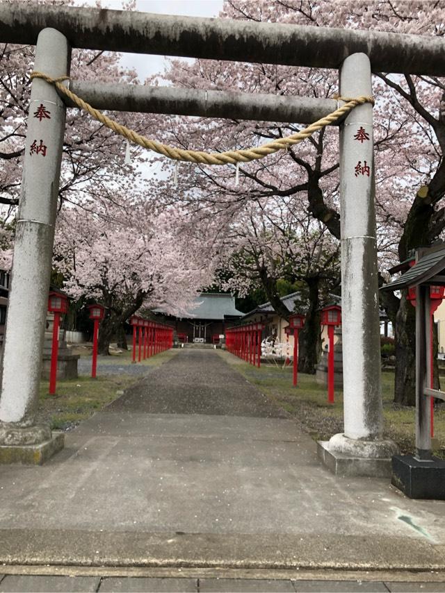 佐野厄除大師の参拝記録8