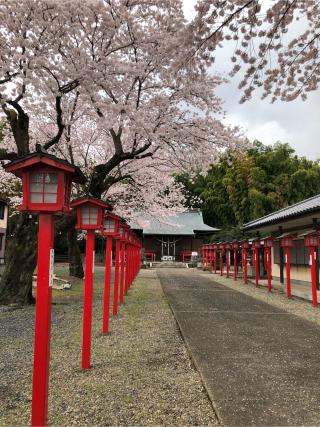 佐野厄除大師の参拝記録(よしさん)