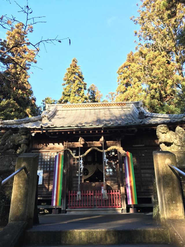 下野星宮神社の参拝記録10