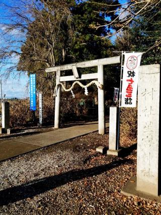 下野星宮神社の参拝記録(ともさん)