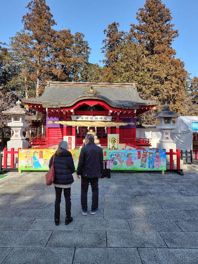 栃木県塩谷郡高根沢町上高根沢2313 安住神社の写真16