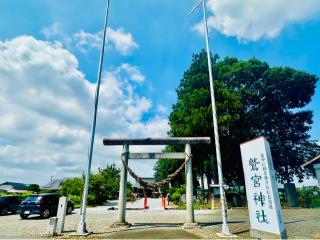 鷲宮神社の参拝記録(shikigami_hさん)