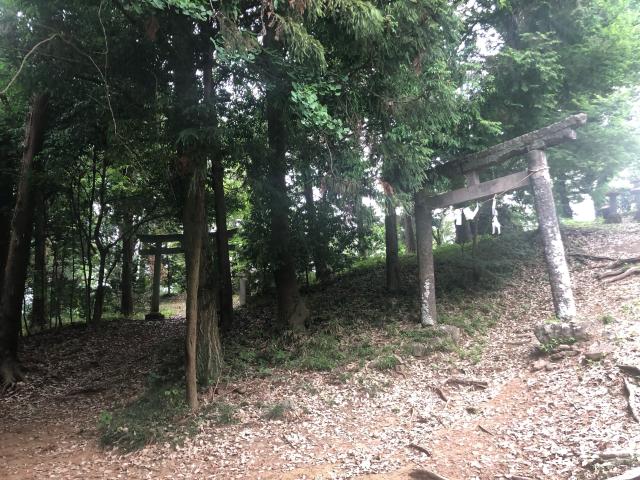 栃木県栃木市大平町真弓１５３１－１ 諏訪神社の写真3