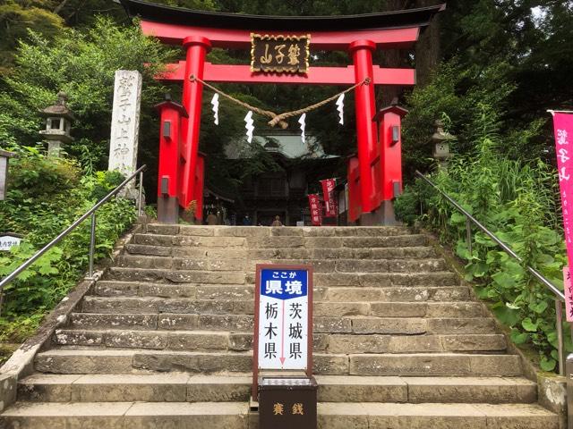 鷲子山上神社の参拝記録(金猿さん)