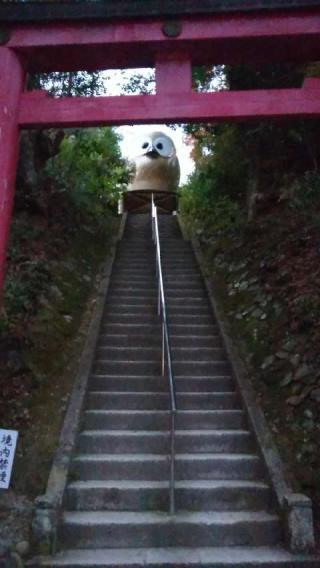 鷲子山上神社の参拝記録(たらみさん)