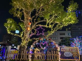 宮原八幡宮の参拝記録(明介さん)