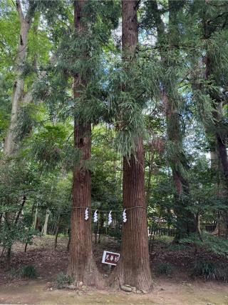 宮原八幡宮の参拝記録(奈々パンマンさん)