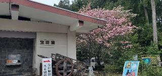 乃木神社の参拝記録(ぴろきちさん)