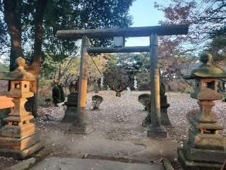 烏森神社の参拝記録(さとみさん)