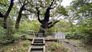 那須温泉神社の参拝記録(金猿さん)