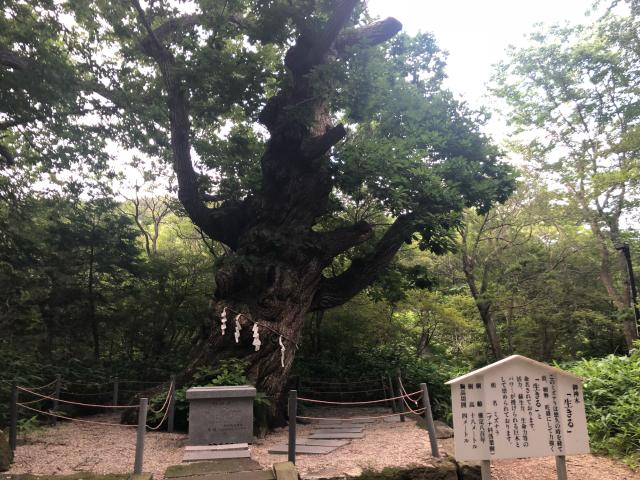 栃木県那須郡那須町湯本１８２ 那須温泉神社の写真8