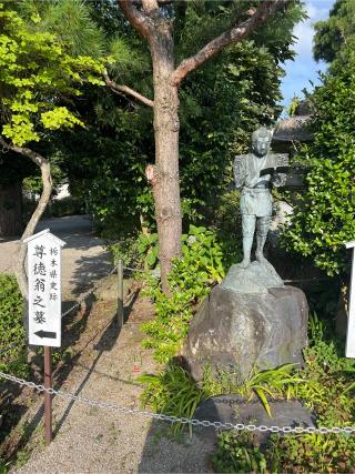 報徳二宮神社の参拝記録(⛩️🐉🐢まめ🐢🐉⛩️さん)