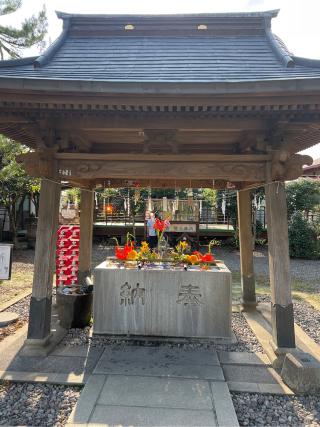 報徳二宮神社の参拝記録(⛩️🐉🐢まめ🐢🐉⛩️さん)