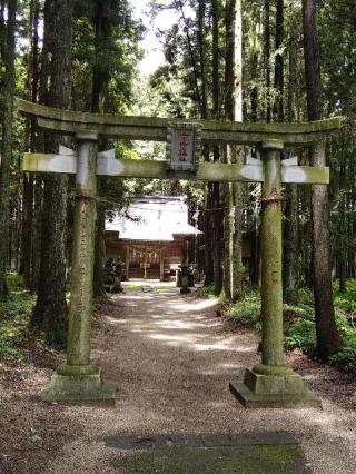 高男荷渡神社の参拝記録(愛しい風さん)