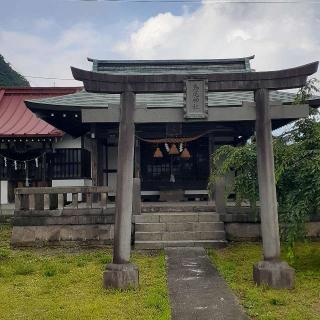 高尾神社の参拝記録(三毛猫さん)