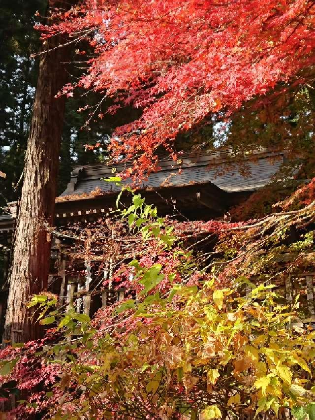 栃木県日光市大室1619 日光大室高靇神社の写真5