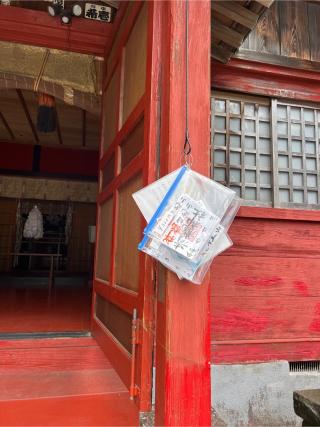 清瀧神社の参拝記録(⛩️🐍🐢まめ🐢🐍⛩️さん)