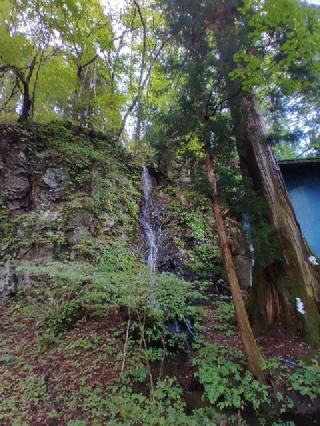 清瀧神社の参拝記録(珍奇男さん)