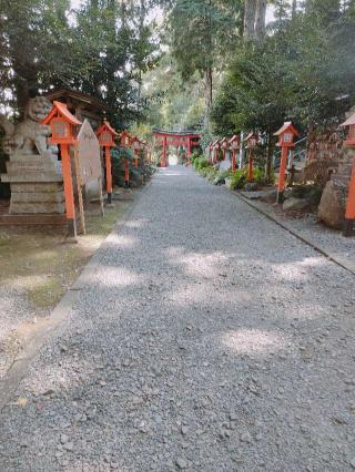 芳賀安住神社の参拝記録(さとみさん)