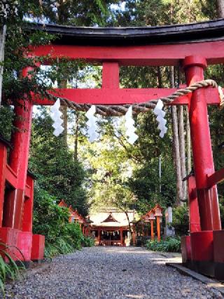 芳賀安住神社の参拝記録(たけちゃ～ん⚾さん)