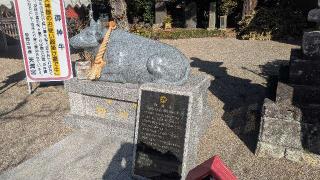 天満宮 (芳賀天満宮)の参拝記録(かおさん)