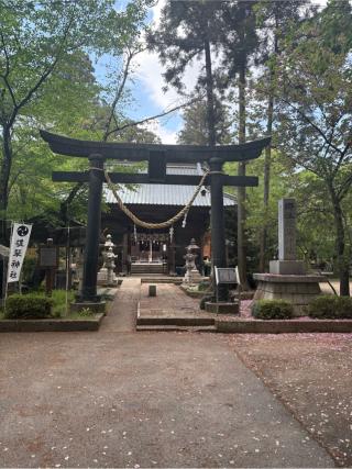 雄琴神社の参拝記録(ミンコさん)