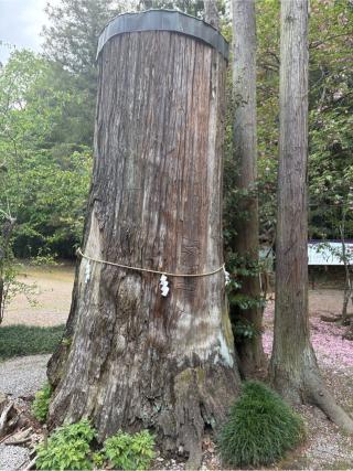 雄琴神社の参拝記録(ミンコさん)