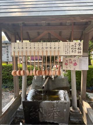 磐裂根裂神社の参拝記録(ミンコさん)