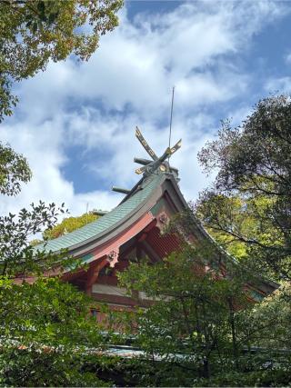 藤崎八旛宮の参拝記録(ほちさん)